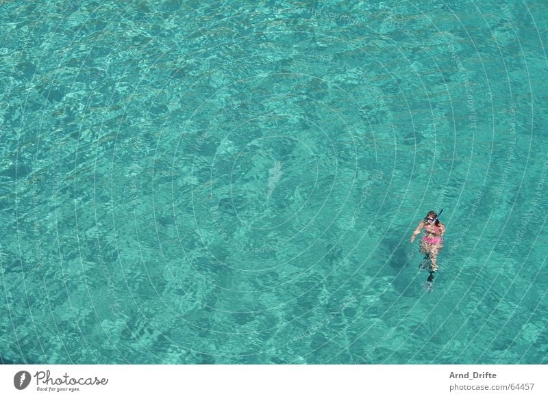 Pink in Türkis Lagune Meer Schnorcheln Karibisches Meer tauchen Taucher türkis Ferien & Urlaub & Reisen Wellen Frau rosa Außenaufnahme Sommer Wassersport