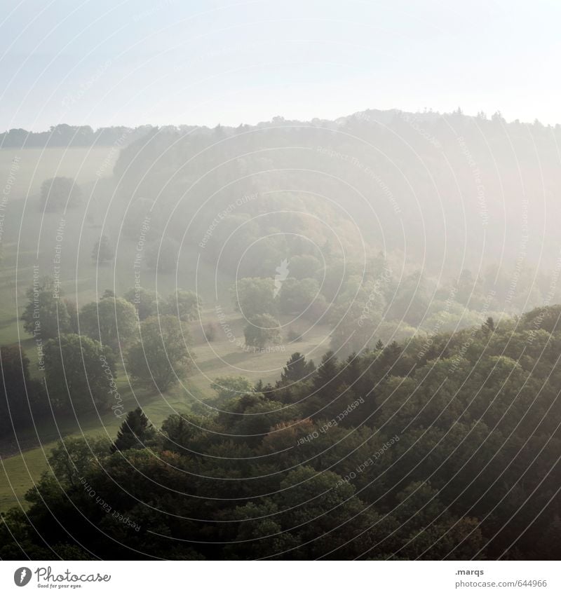 Dunst Ausflug Umwelt Natur Landschaft Urelemente Wolkenloser Himmel Sommer Klima Schönes Wetter Nebel Baum Wiese Wald Hügel einfach frisch natürlich schön