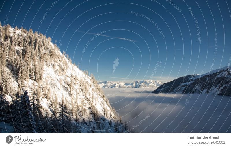 HIER OBEN SCHEINT JA DIE SONNE! Umwelt Natur Landschaft Himmel Wolken Horizont Winter Schönes Wetter Eis Frost Schnee Baum Wald Alpen Berge u. Gebirge Gipfel