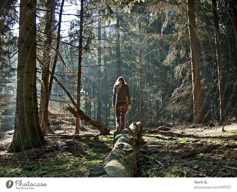 licht Wald Baum Tanne grün braun Lichtstimmung Waldlichtung Sonnenlicht Frau Baumstamm Geäst Waldspaziergang Nadelwald Heide Sträucher Natur Mensch Einsamkeit