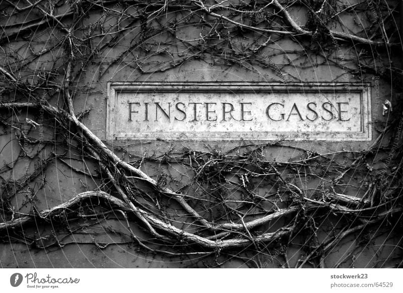 finstere gasse Augsburg Straßennamenschild Märchen mystisch wildwuchs fuggerei sozialsiedlung Gotik Gothic Architektur