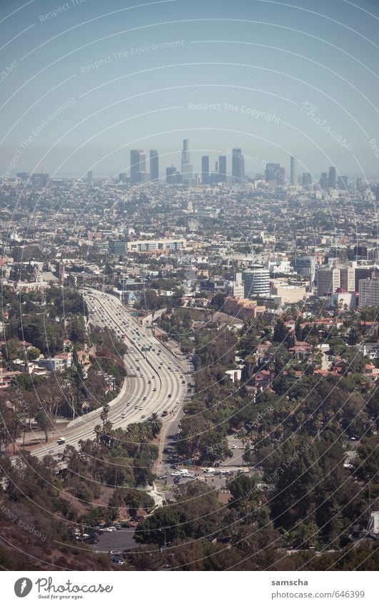 City of Angels Ferien & Urlaub & Reisen Tourismus Ausflug Abenteuer Ferne Sommer Stadt Skyline bevölkert Haus Verkehr Verkehrswege Autofahren Straße Autobahn