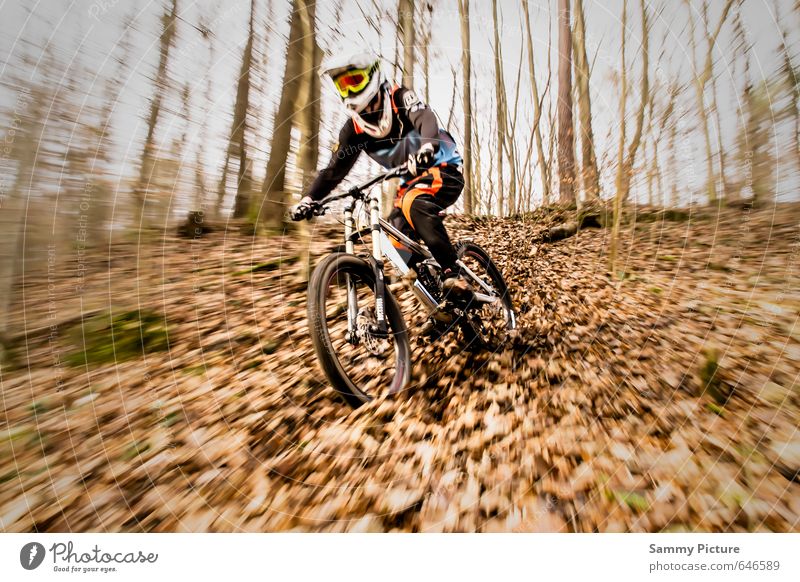 Downhill Sport Fahrradfahren Mensch maskulin Junger Mann Jugendliche 1 sportlich Lebensfreude Coolness Freude Mountainbike Herbstbeginn Farbfoto Außenaufnahme