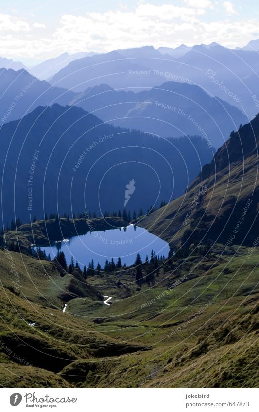 Seealpsee Sommer Gras Nadelbaum Alpen Berge u. Gebirge Tal Gipfel wandern Erholung Freizeit & Hobby Idylle Natur Farbfoto Außenaufnahme Menschenleer