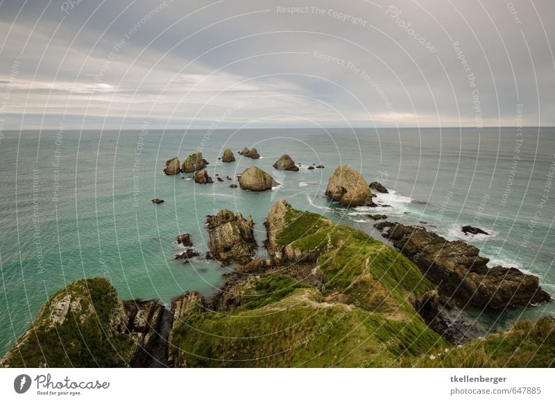 Nugget Point Neuseeland IIX Natur Landschaft Erde Wasser Himmel Wolken Gewitterwolken Sonnenaufgang Sonnenuntergang Meer Polarmeer Pazifik Schwimmen & Baden