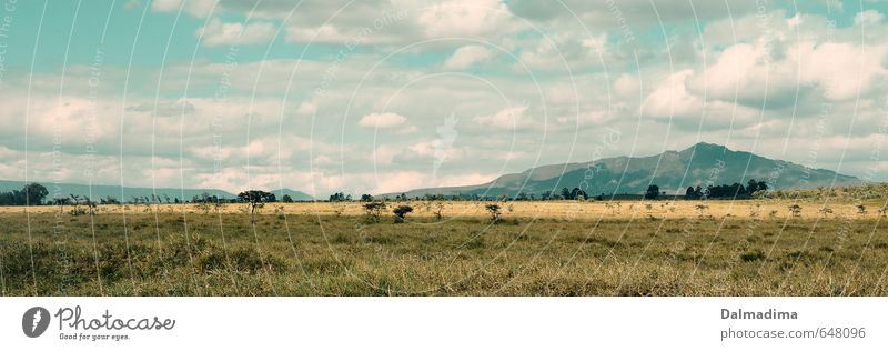 Hells Gate Nationalpark Ferien & Urlaub & Reisen Abenteuer Ferne Safari Fahrradtour wandern Umwelt Natur Landschaft Pflanze Tier Himmel Wolken Frühling Sommer