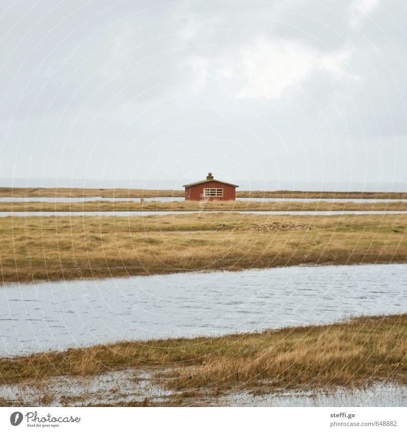 home is where your heart is. Ferien & Urlaub & Reisen Tourismus Ausflug Ferne Freiheit Haus Traumhaus Wasser schlechtes Wetter Fjord Dänemark Menschenleer