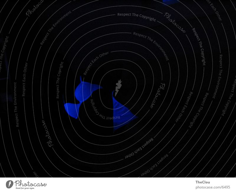 blue feelings Unterwäsche Sonnenlicht Höhle Tunnel Fototechnik Strukturen & Formen blau