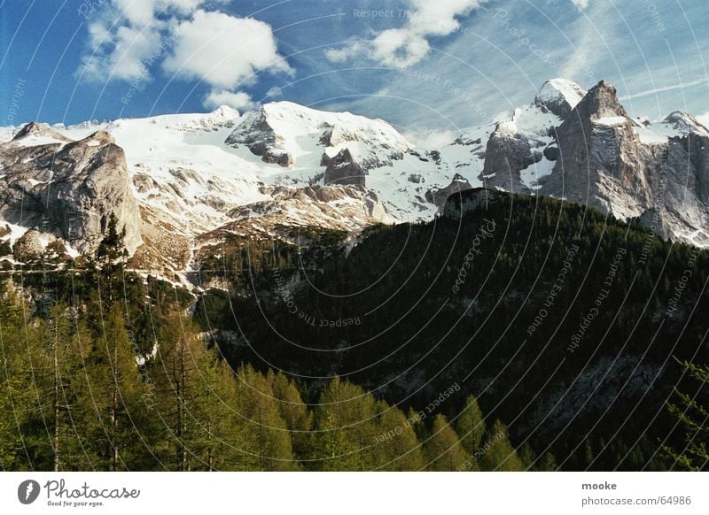 Marmolada Gletscher Wald Wolken weiß Berge u. Gebirge Felsen Schnee Eis blau