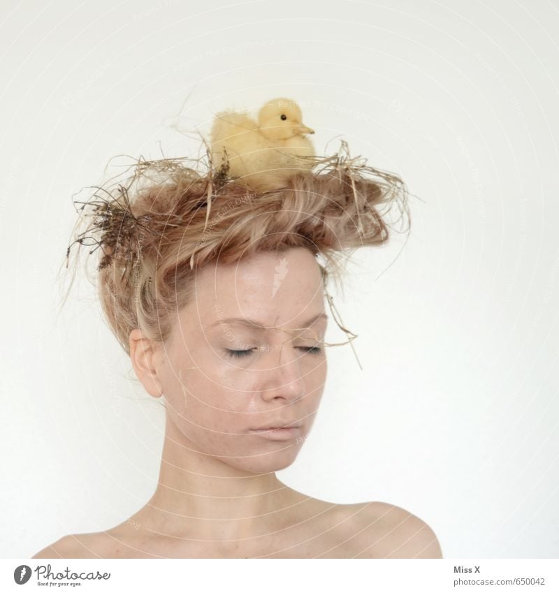 Mutter Natur schön Ostern Mensch feminin Junge Frau Jugendliche Kopf Haare & Frisuren 1 18-30 Jahre Erwachsene Tier blond Vogel Tierjunges gelb Gefühle Stimmung