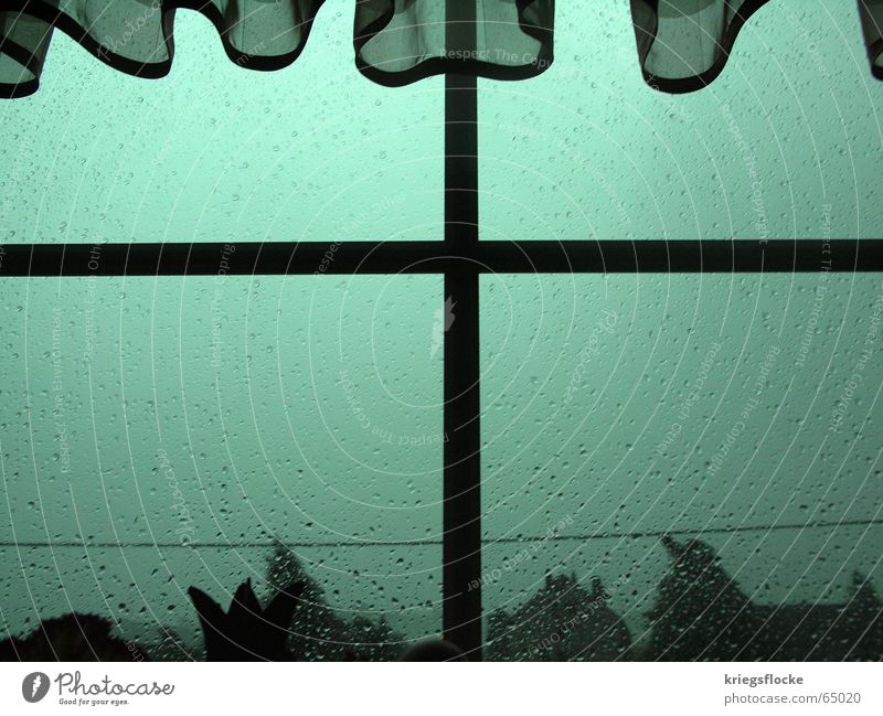 stromausfall Unwetter Fenster dunkel Stimmung Gardine grün grau Stromausfall Wasser Regen Rücken Pflanze blau Gewitter