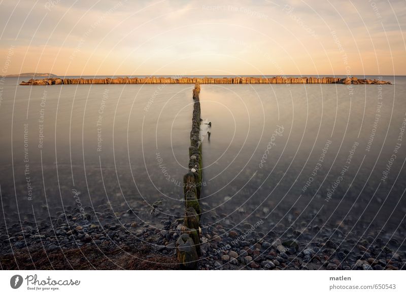 horizontal Natur Landschaft Sand Himmel Wolken Horizont Sonne Sonnenaufgang Sonnenuntergang Herbst Wetter Schönes Wetter Küste Strand Meer blau gelb grau Buhnen