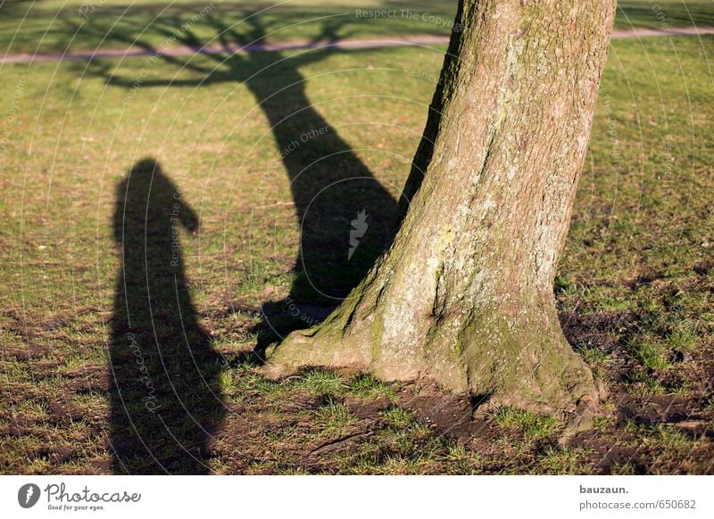 schattenwelt. Mensch feminin Junge Frau Jugendliche Erwachsene Körper 1 18-30 Jahre 30-45 Jahre Umwelt Natur Frühling Schönes Wetter Baum Gras Garten Park Wiese