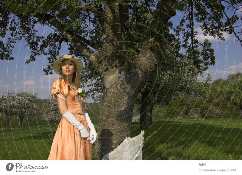 Zurück in die Vergangenheit Frau Baum Romantik Sommer Denken Wiese Kleid Tagtraum Landschaft Regenschirm Mensch Natur altmodisch Hut Mode