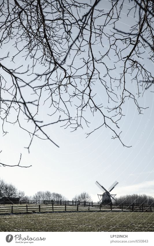 Feierabend wie das duftet Ferien & Urlaub & Reisen Ausflug Winter Landwirtschaft Forstwirtschaft Umwelt Natur Landschaft Baum Wiese Feld Dorf ruhig Einsamkeit