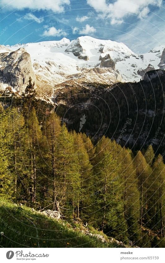 Marmolada II Gletscher Wald Wolken weiß grau grün Berge u. Gebirge Felsen Schnee Eis Himmel blau