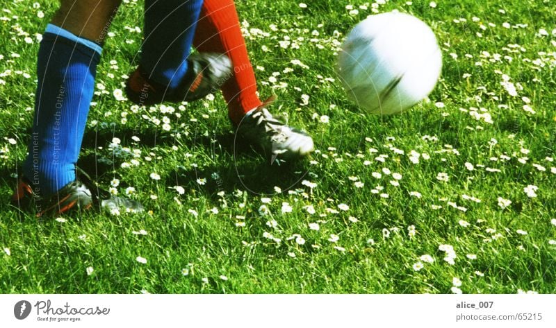 zweikampf Fußball Zweikampf Fußballer grün rot weiß schießen Schuhe Stulpe Strümpfe kämpfen Gras Blume Fußballschuhe Mann Spielen Ball laufen Rasen blau