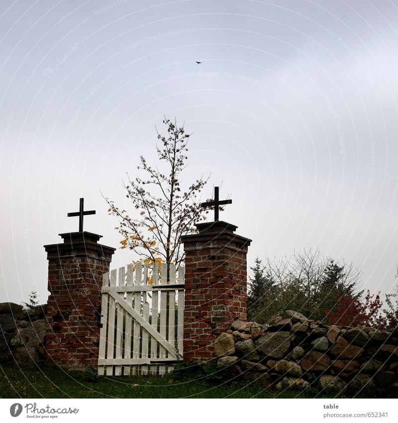 Himmelspforte Wolken Herbst Pflanze Baum Gras Garten Dorf Ruine Tür Tor Vogel 1 Tier Stein Holz Metall Zeichen Kreuz alt fliegen stehen dunkel grau schwarz