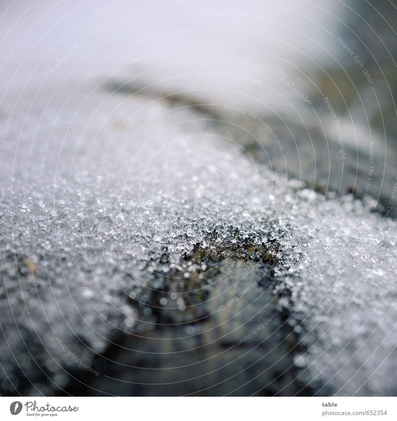 Tauwetter Winter Schnee Umwelt Natur Pflanze Urelemente Wasser Klima Eis Frost Holz frieren glänzend liegen alt dunkel kalt nass braun grau schwarz weiß ruhig