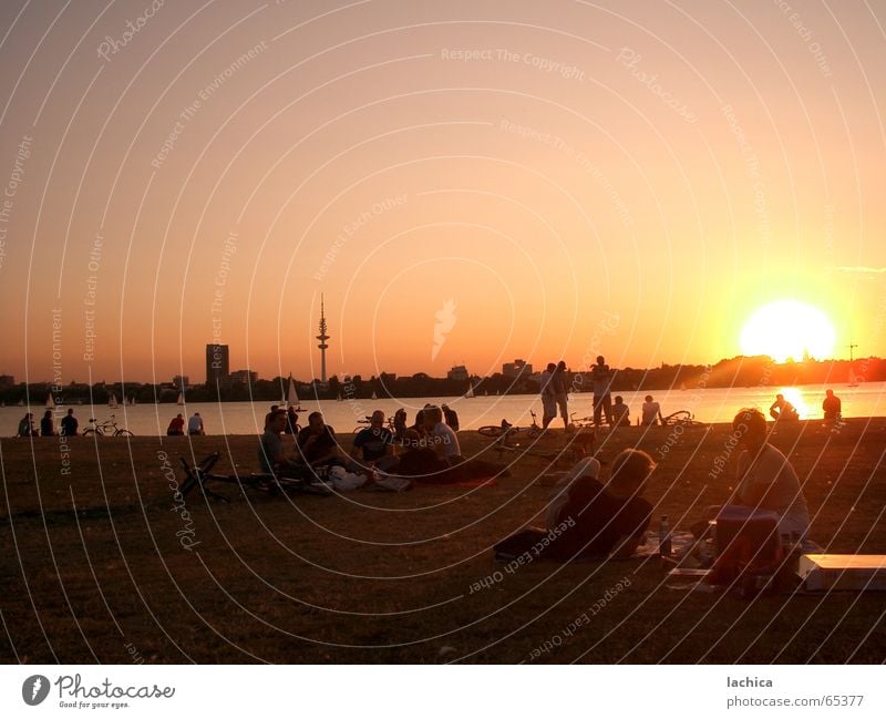 Alsterlicht Außenalster Sonnenuntergang Sommer Sonnenaufgang rot Erholung Feierabend Ferien & Urlaub & Reisen Wiese Segeln Segelboot Morgen Ferne Sonnenbad