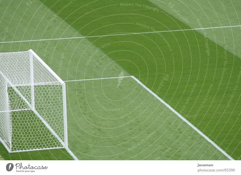 Frisch geschnitten² Platz Fußballplatz Weltmeisterschaft WM 2006 König bolzplatz Rasen franz