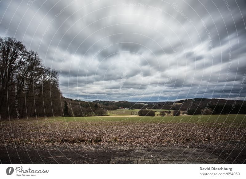 Stormy days Natur Landschaft Wolken Horizont Frühling Herbst Winter schlechtes Wetter Wind Sturm Pflanze Baum Nutzpflanze Feld Wald blau braun gelb grün schwarz