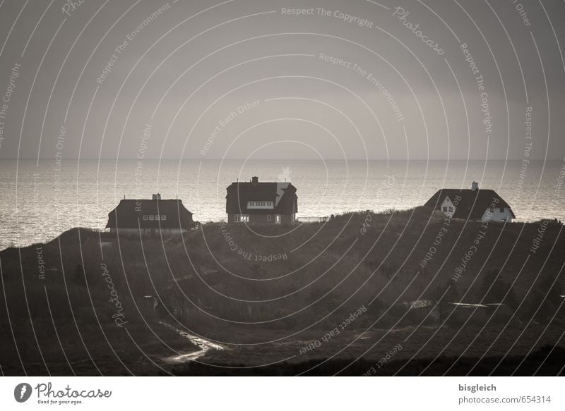 Sylt V Ferien & Urlaub & Reisen Meer Insel Wasser Himmel Nordsee Deutschland Europa Dorf Haus Einfamilienhaus braun grau Ferne Sehnsucht Horizont Farbfoto