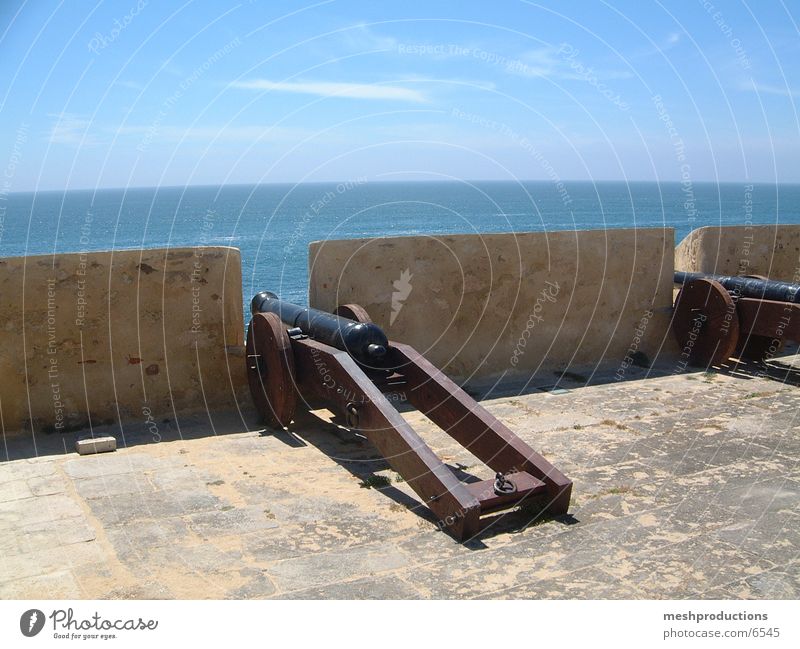 Arms of Portugal historisch cannon forth