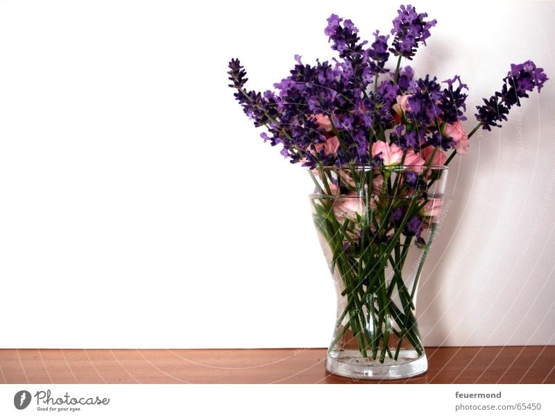 sweet little posy Blumenstrauß Blüte Lavendel Rose Vase Wand Frühling Sommer Glückwünsche Glas regalbrett bloom Mauer Heilpflanzen