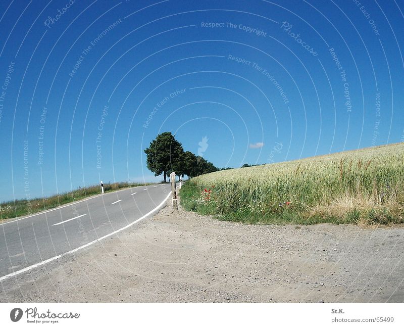 Highway Baum Feld Wolken Weizen Himmel blau Straße Luxemburg Schilder & Markierungen dreckig Getreide Kies