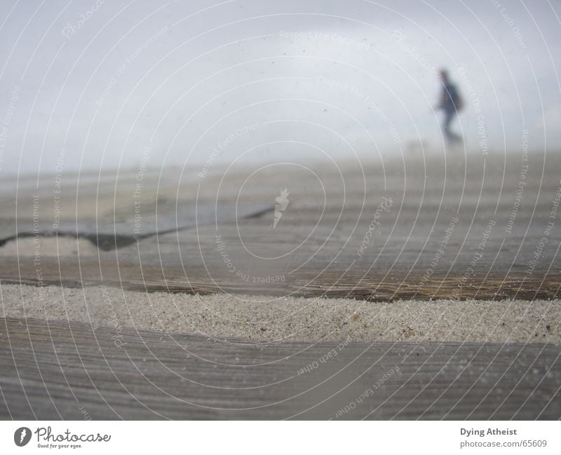 Strand Holz Nebel Holzmehl unsicher Sand Wind fog