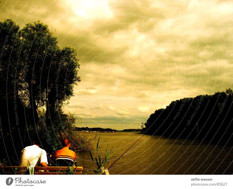 ZEIT HABEN See Müritz Wolken Angelrute Baum Erholung Angeln Mensch Sommer schön Bank Wasser