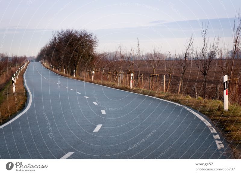 Krümmung einer Kurve Verkehrswege Straßenverkehr Landstraße Kreisstraße braun grau schwarz Straßenrand Straßenbelag Straßenbegrenzung Asphalt Leitpfosten