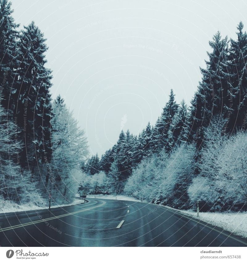 Winterwald Umwelt Natur Himmel Eis Frost Schnee Baum Tanne Nadelwald Wald Schwarzwald Straße Ferien & Urlaub & Reisen kalt nass blau grau weiß Bewegung