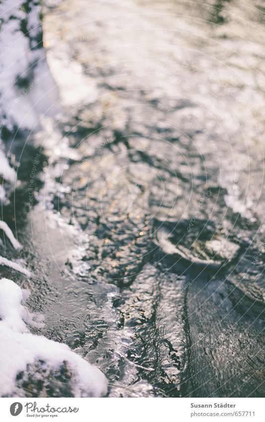 eisbach Wasser Eis Frost Schnee Flüssigkeit kalt Bach Fluss Winter schneekante Aggregatzustand Wellen Gedeckte Farben Nahaufnahme Dämmerung