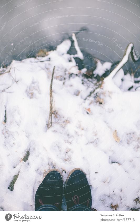 Winterjuchey Eis Frost Schnee Dürre Park Küste Flussufer Hose Schuhe beobachten stehen Schuhbänder Eisig gefroren mehrfarbig Außenaufnahme Detailaufnahme