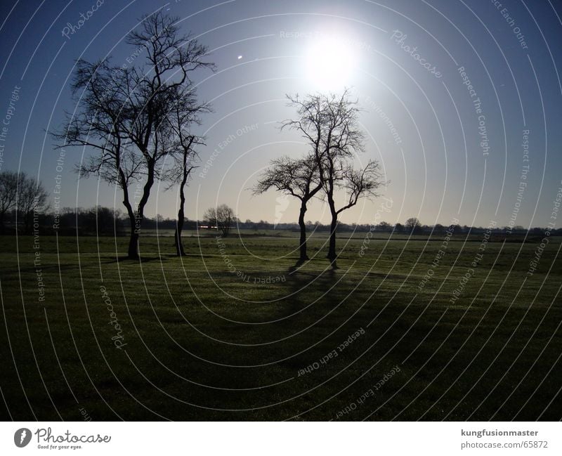 Dezembermond Vollmond Langzeitbelichtung Baum Winter Himmelskörper & Weltall Mond nachtlandschaft Landschaft winter ohne schnee Stern