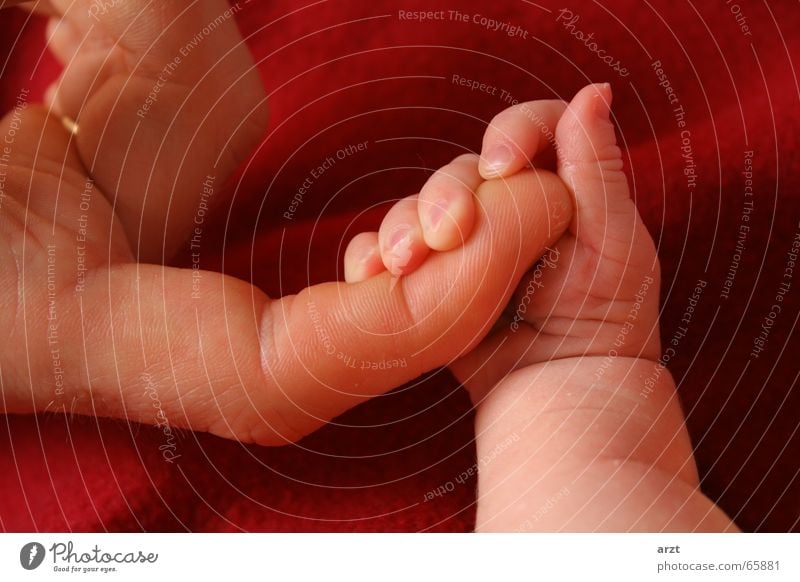 festgehalten festhalten Hand Finger Baby Zärtlichkeiten Zuneigung 2 Mann