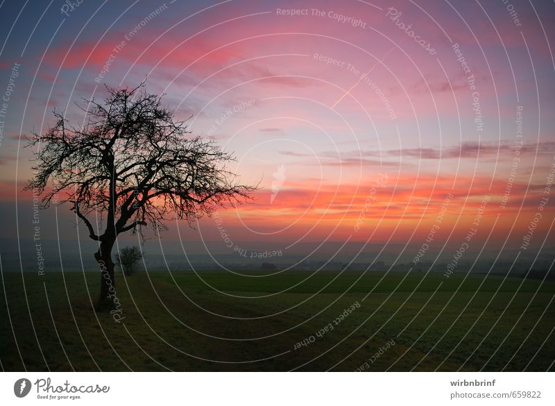 Abendstimmung..... Erholung ruhig Meditation Ferien & Urlaub & Reisen wandern Natur Landschaft Nachthimmel Horizont Sonnenaufgang Sonnenuntergang Herbst Baum