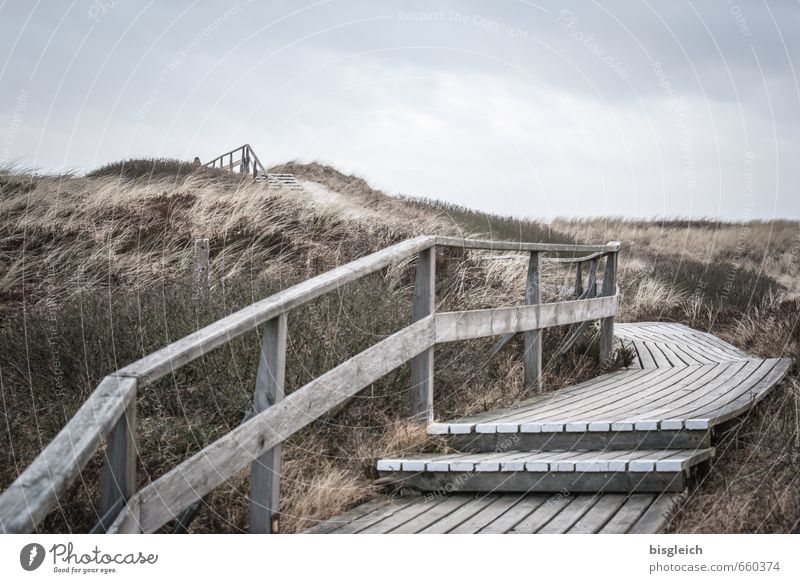 Sylt XIII Umwelt Natur Landschaft Himmel Gras Nordsee Meer Düne Dünengras Deutschland Europa Treppe Sand Holz gehen blau braun grau Treppengeländer Ferne