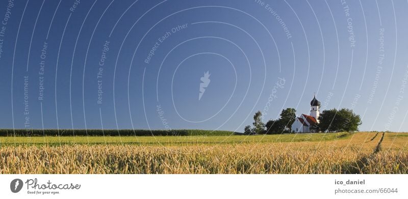 Idylle in Niederbayern ruhig Sommer Landschaft Himmel Horizont Schönes Wetter Baum Gras Wiese Feld Kirche klein blau gelb grün Einsamkeit Volksglaube