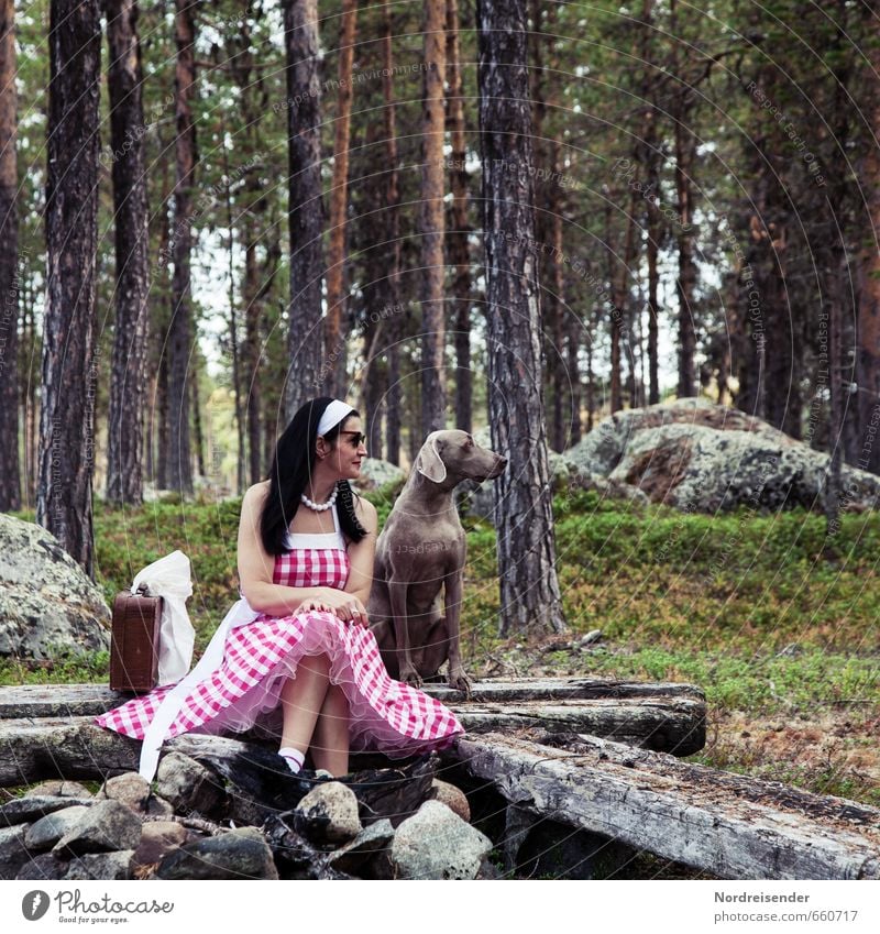 Frau im Dirndl und Weimaraner Jagdhund Lifestyle elegant Stil Freude Glück Erholung Ferien & Urlaub & Reisen Mensch feminin Erwachsene 1 Wald Mode Bekleidung