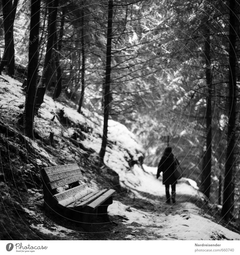 Wer ist da....? Ausflug Winter wandern Mensch Frau Erwachsene 1 Eis Frost Schnee Wald Wege & Pfade frieren laufen dunkel gruselig Angst Nervosität Misstrauen