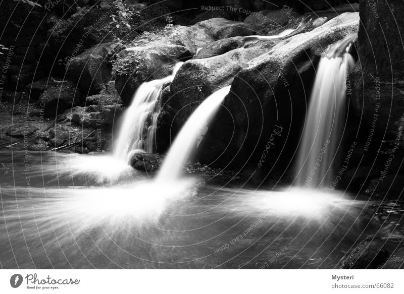 Müllerthal - Luxemburg Schiessentümpel Langzeitbelichtung müllerthal Wasser Wasserfall canon Schwarzweißfoto