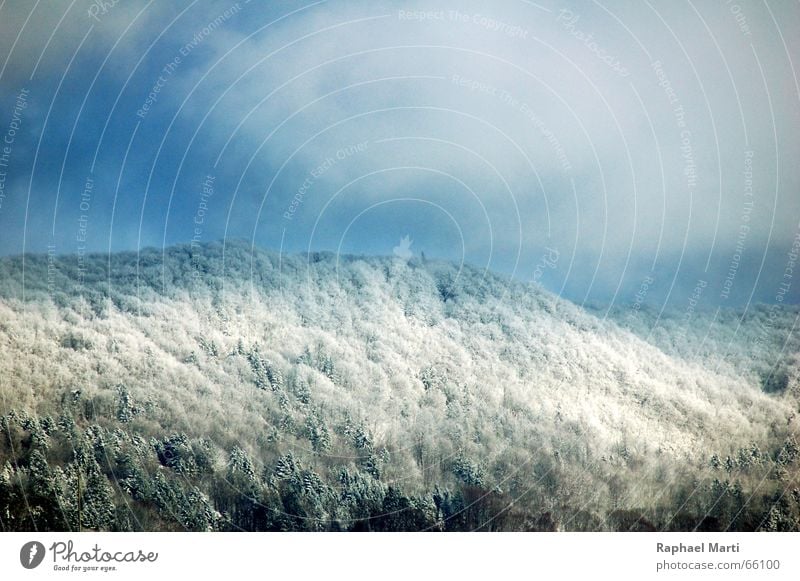 Snowy Laegern Winter Wald Schnee schweitz Berge u. Gebirge Himmel Alpen Landschaft