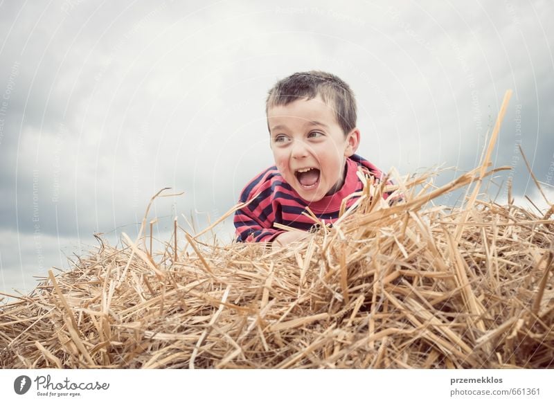 Der Junge ruft vom Heuschober aus an. Freude Spielen Sommer Kind Schulkind Kindheit 1 Mensch 3-8 Jahre Wolken lachen klein niedlich braun Euphorie Tatkraft