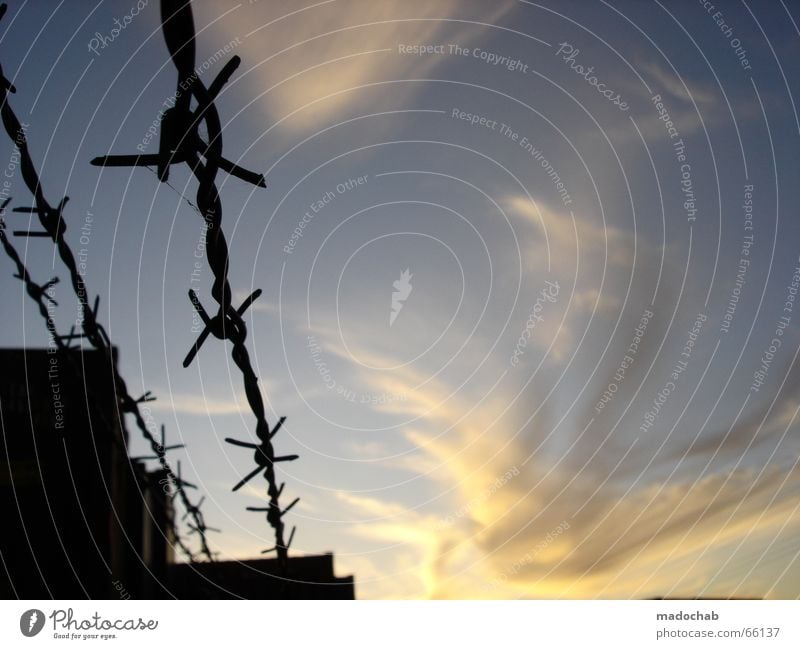 BEGRENZTE FREIHEIT Stacheldraht Wolken Sonnenuntergang Abend gefangen Romantik Trennung Klischee Liebeskummer Himmel Container Verschluss frei Freiheit