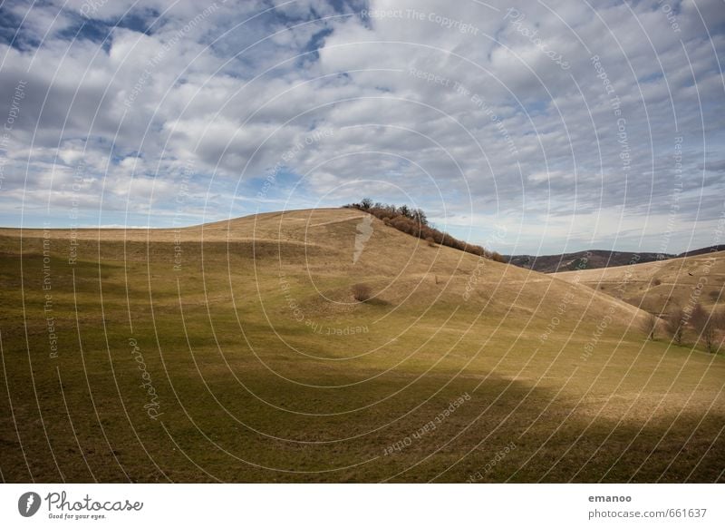 Kaiserstuhl Ferien & Urlaub & Reisen Tourismus Ausflug Berge u. Gebirge wandern Natur Landschaft Himmel Wolken Klima Wetter Wind Pflanze Baum Gras Wiese Feld