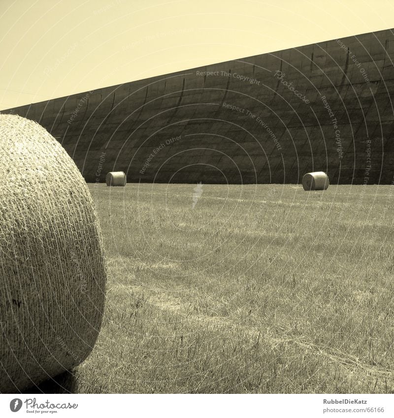 Mauer, Rollen und falsche Farbe Stroh Beton Wasserbecken Wiese schwarz weiß Ödland Landwirtschaft Strohballen Schönes Wetter oberbecken Industriefotografie