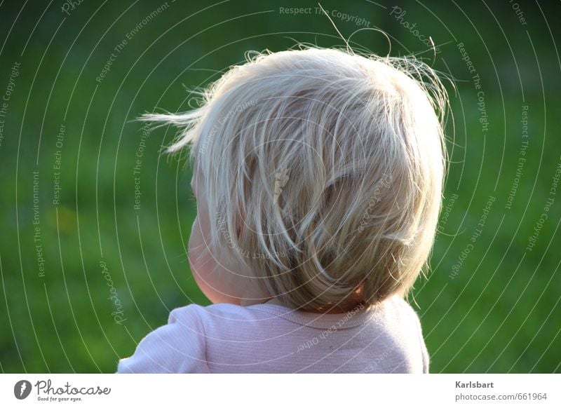 Rückblick Kindererziehung Bildung Kindergarten Kleinkind Mädchen Junge Kindheit Hinterkopf 1-3 Jahre Natur Frühling Sommer Schönes Wetter Wiese blond beobachten